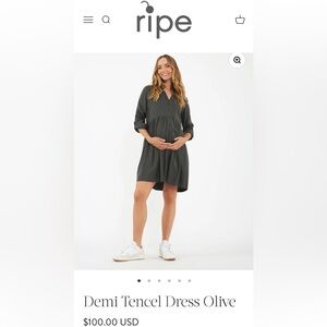 NWT maternity and nursing dress